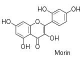 OCHEM